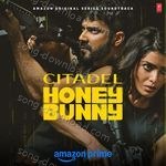 Citadel Honey Bunny - Aman Pant Song Download